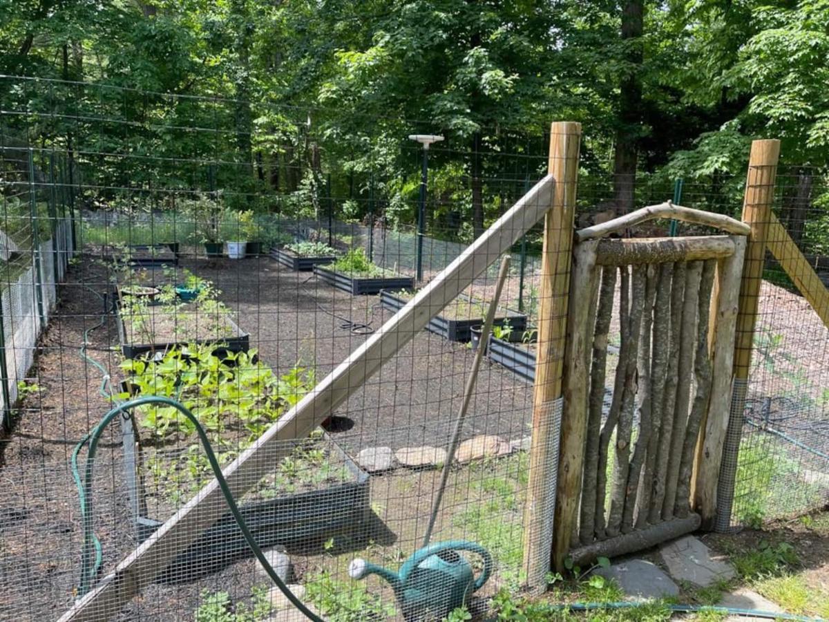 Peaceful Getaway Cottage On Grounds Of Historic Mid-Century Gem Northborough エクステリア 写真