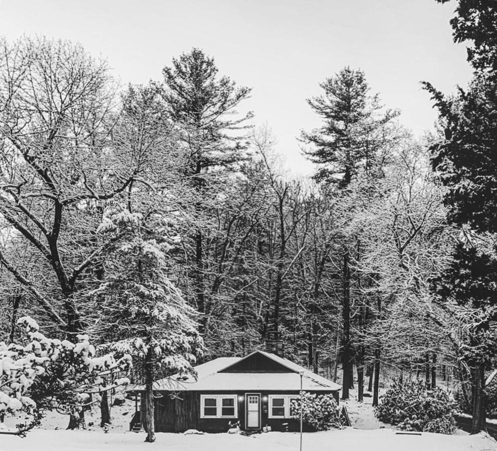 Peaceful Getaway Cottage On Grounds Of Historic Mid-Century Gem Northborough エクステリア 写真